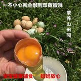 乌鸡绿壳土鸡蛋农家自养60枚 柴鸡蛋百分百纯粮散养有机笨鸡蛋