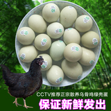 CCTV贵州赤水特产丹青竹乡乌骨鸡绿壳鸡蛋山林散养土鸡蛋36枚包邮