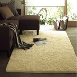 特价可水洗不掉毛多色地毯 卧室客厅茶几沙发丝毛绒隔音防滑地毯