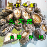 陕西土特产农家有机秦岭椴木香菇干货 特级冬菇小香菇 干蘑菇批发