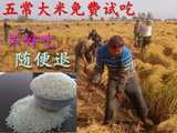 限时促销2015新米有机非转基因农家东北黑龙江五常稻花香大米1KG