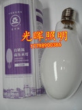 上海亚明1923 自镇流高压汞灯GYZ125W160W250W450W 自汞泡 高汞泡