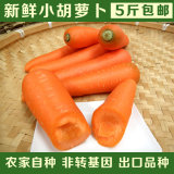 新鲜胡萝卜1斤农家非转基因2015年新上市有机绿色蔬菜批发5斤包邮