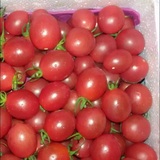 千禧圣女果 小番茄 千禧 广西田阳千禧小番茄 新鲜水果5kg