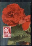L5654比利时1955花卉植物极限片