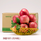 甘肃静宁特产 新鲜红富士苹果 80大果10斤脆甜冰糖心水果阿阳果园