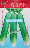 【潍县青萝卜种子】 里外青萝卜 水果萝卜冬季盆栽蔬菜种子四季种
