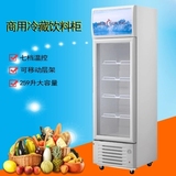 穗凌LG4-259LT 立式冰柜 单门冷柜展示柜 蔬菜肉类饮料保鲜冷藏柜