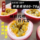 农家特产现摘发货 广西百香果包邮 5斤约40个精选新鲜水果中大果