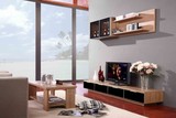 北京三强 板式现代简约 吉林森工实木颗粒板材地柜电视柜