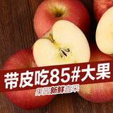 烟台苹果红富士5斤包邮 蓬莱新鲜苹果水果85脆甜纯天然农家大苹果