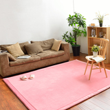 珊瑚绒榻榻米地毯日式地垫客厅卧室茶几床边加厚儿童爬行毯瑜伽垫