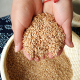 农家自产有机燕麦米 五谷杂粮燕麦米仁.5斤包邮