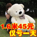 布娃娃可爱超大1.2米毛绒玩具熊1.8米玩偶公仔2米泰迪熊1.6米抱枕