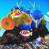 高清单面背景珊瑚水草水族箱海底岩石画鱼缸装饰造景贴纸墙高50CM