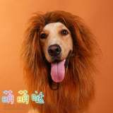 狗猫通用 宠物服装饰品 秒变宠物假发狮子头套 发饰头饰帽子