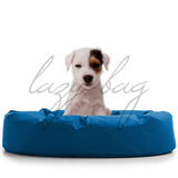宠物懒人沙发 宠物床 宠物地板垫坐垫PVC條沦可清洗宠物沙发包邮