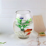 包邮圆形创意生态迷你小型鱼缸 桌面金鱼缸 玻璃乌龟缸 水培花瓶