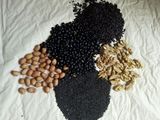五谷杂粮，黑芝麻黑豆黑米核桃花生粉，补肾，养乌发，300克