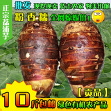 农产品广西特产正宗荔浦芋头 有机绿色新鲜蔬菜 香芋槟榔芋1斤装