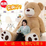 陈乔恩同款costco美国大熊巨熊毛绒玩具泰迪熊抱抱熊生日礼物女生