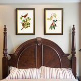 美式乡村复古客厅沙发墙楼梯走道餐厅卧室床头双联植物花鸟装饰画