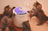 宅猫酱宠物空气净化器日本进口除菌异味猫舍必备AIR MEDIC包顺丰