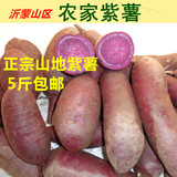 紫薯 新鲜 农家自种沂蒙山红薯 富硒 番薯 有机农产品地瓜500g