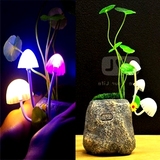 特价电床生日礼物蘑菇小夜灯节能创意插头小台灯光感盆景520热卖