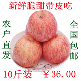 【农家果园】原生态新鲜水果红富士苹果有机水果脆甜10斤批发包邮