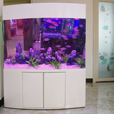 包邮亚克力双弧形型鱼缸生态超白水族箱1米1.2米屏风隔断靠墙定制