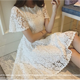 【天天特价】中长款韩版收腰女装白色蕾丝连衣裙短袖修身显瘦2016