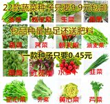 四季蔬菜阳台庭院种植蔬菜种子套餐包邮胡萝卜生菜 菠菜小青菜等