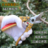 日本进口修枝剪树枝果树粗枝剪花园艺剪刀整枝剪子花枝剪园林工具