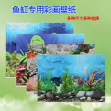 鱼缸专用壁纸 无痕背景纸 背景画 水族箱 鱼缸背景图贴纸壁纸壁画