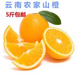 云南原生态褚橙冰糖橙子新鲜多汁孕妇水果野生橙橘甜现摘5斤包邮
