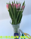 新鲜上市 进口粉色郁金香 家庭办公室DIY瓶插花 北京花卉鲜花批发