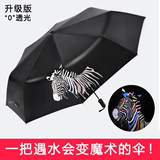 韩国创意变色斑马太阳伞黑胶折叠两用晴雨伞男遮阳防晒防紫外线女