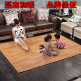 韩国碳晶地暖垫 电热地板地毯移动加热地垫定制 地热垫子200*180