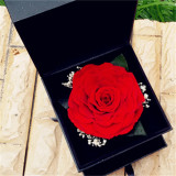 永生花巨型玫瑰玻璃罩礼盒七彩云南鲜花速递恋爱结婚告白礼物