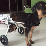 狗轮椅瘫痪猫狗代步车残疾狗辅助后腿车 断腿猫狗宠物车宠物轮椅