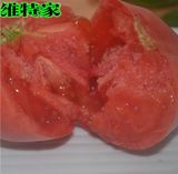 【维特家】新鲜蔬菜新鲜西红柿番茄杭州同城配送