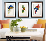 美式装饰画乡村手绘鹦鹉复古田园现代简约挂画沙发客厅进口画芯画