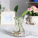 葫芦形 透明玻璃花瓶 约320g 适合风信子 水培水生植物花卉花盆