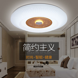 特价促销LED吸顶灯现代简约客厅卧室书房餐厅灯大气可调光圆形灯
