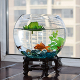 金鱼缸玻璃 水族箱小型创意生态圆形大号乌龟缸 迷你造景培花瓶