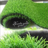 人造草坪仿真草坪塑料假草坪幼儿园别墅阳台室内楼顶装饰地毯草坪