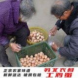正宗苏北农家散养土鸡蛋30枚 新鲜草鸡蛋  农村自养柴鸡蛋笨鸡蛋