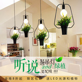 简约美式餐吊灯盆栽绿植物吊灯创意吧台餐厅咖啡厅网咖酒吧单吊灯