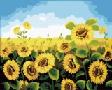 diy数字油画家居客厅装饰画风景植物花卉大幅手绘特价包邮向日葵